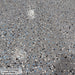 Close-up of medium broadcast polyaspartic flake in Medium Gray showing black, white and blue flecks sealed under a clear topcoat